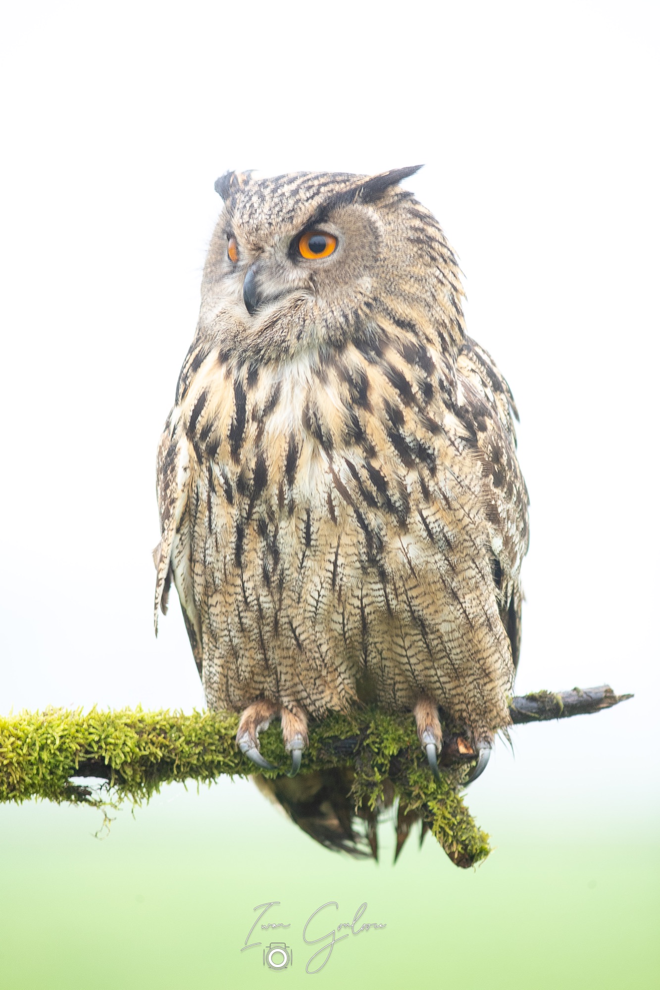 1DX46683 12 december 2021 1411 49